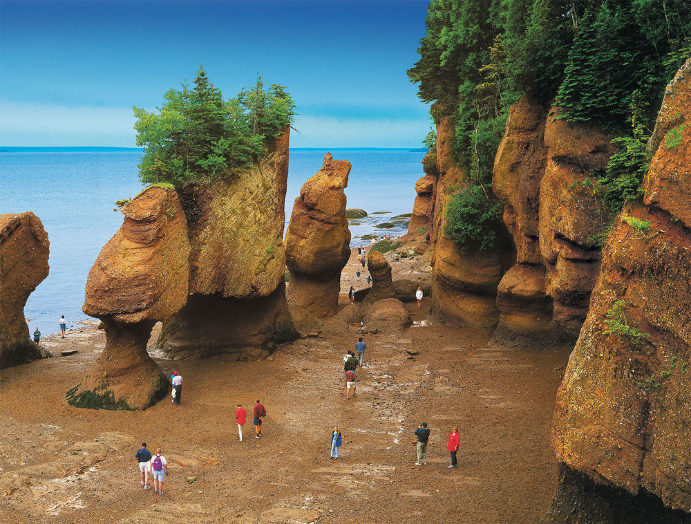 Bay of Fundy, Nova Scotia group travel insurance