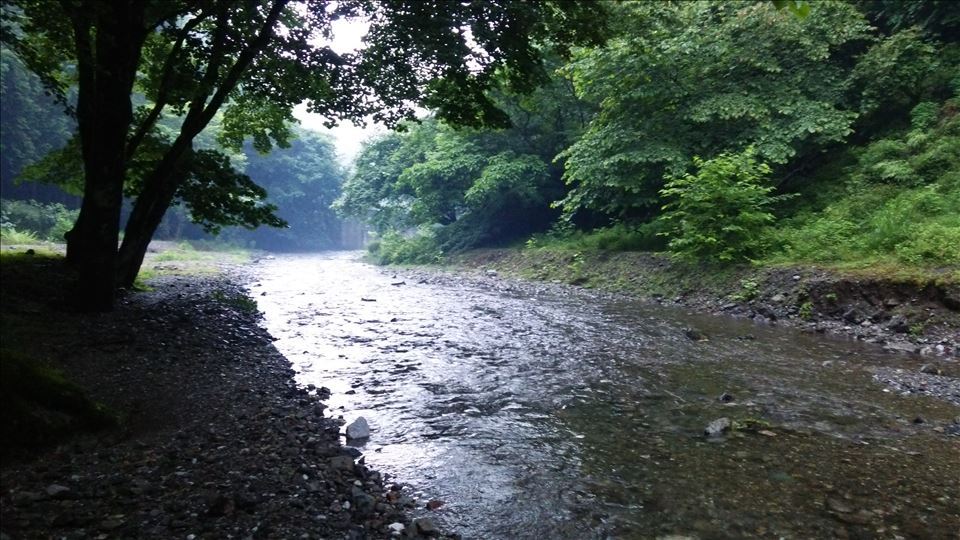 Sainokuni Camping Village