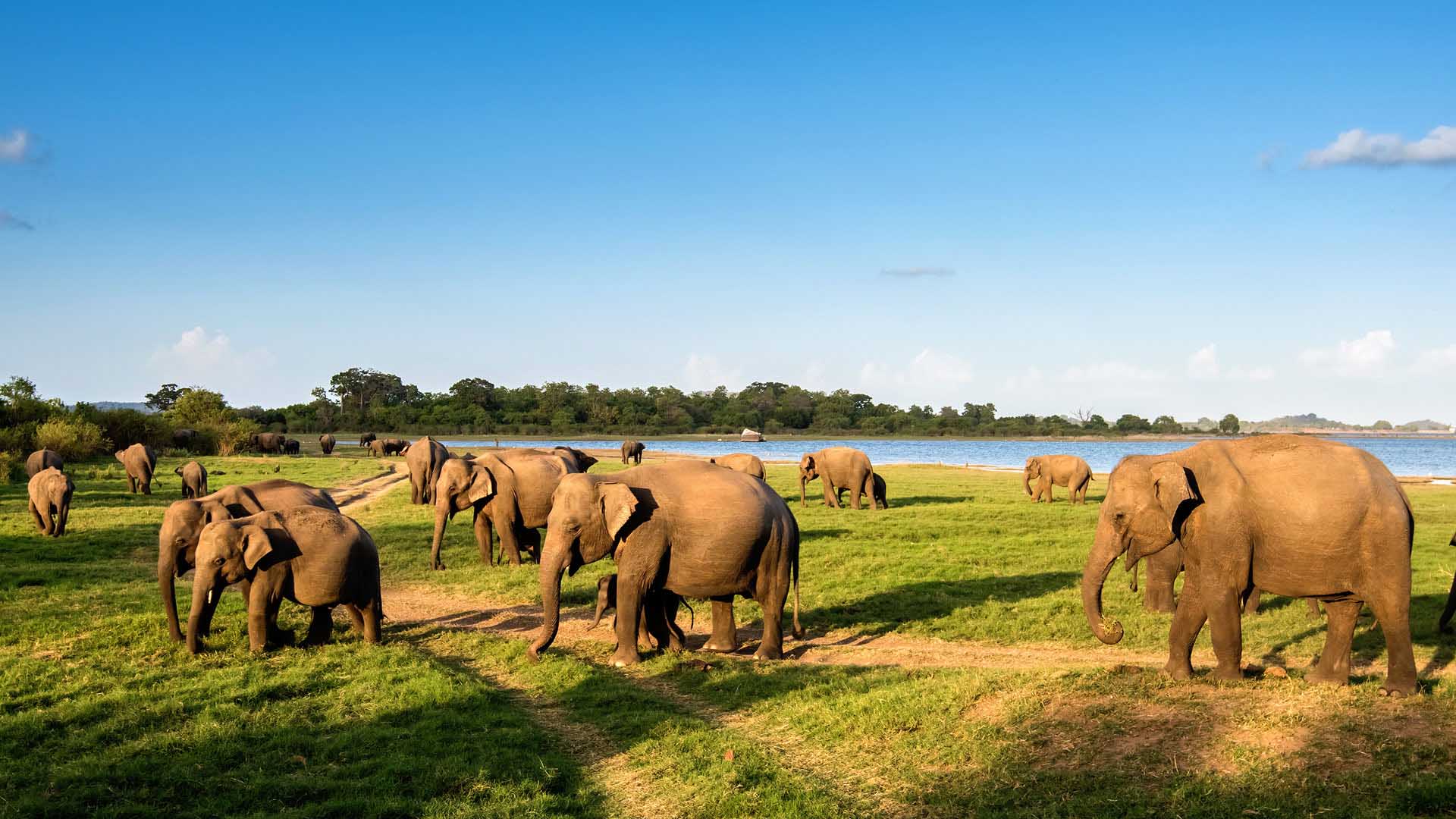 sri lanka tourism